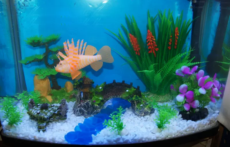 水晶玻璃磨砂腰果石 水族箱鱼缸造景装饰品 底沙 底砂 石子