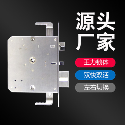 广东厂家 王力锁体防盗门锁双活双快 电子锁智能锁指纹锁体33*210|ms