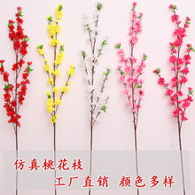 �����һ�֦ ���滨�ٻ�֦��֧�ѻ��͏d��֦�D÷������ ���һ����l