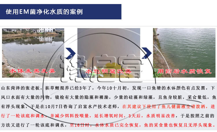 em���������㰸��