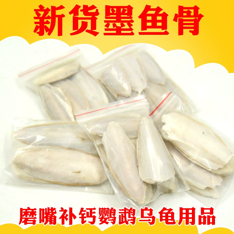 Домашнее животное Маленькое домашнее животное Хомяк Птица Молярная Каракатица Сумка каракатицы