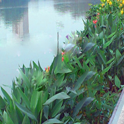 Campus artificial lake,ecology Floating Bed project Water ecology repair engineering artificial Floating Bed Design