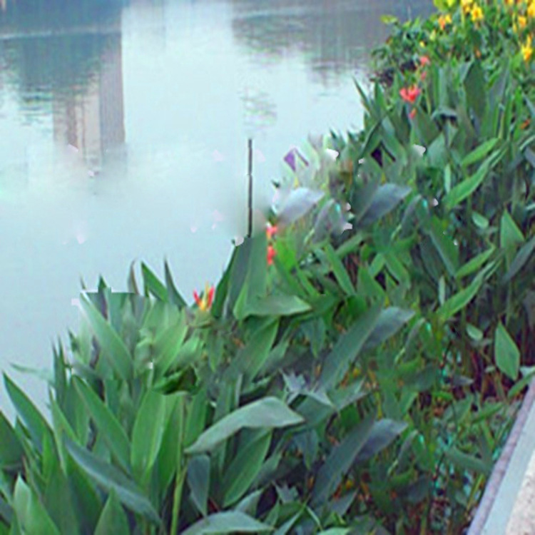 Campus artificial lake,ecology Floating Bed project Water ecology repair engineering artificial Floating Bed Design