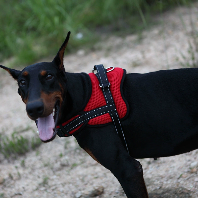 Пользовательские Собака нагрудный ремень ПЭТ поводок собака цепи средних и больших собак ПЭТ нагрудный ремень взрывозащищенный заподлицо собака шеи рукав