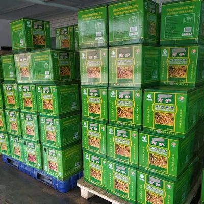 5 pounds Gift Box]Lingwu Long Jujube Large fruit Direct selling Fresh jujube fruit On behalf of wholesale