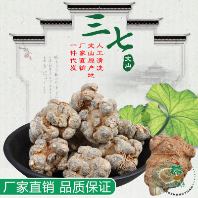 文山三七手工水洗不打蜡足头云南三七原产地三七粉田七厂家直销|ms