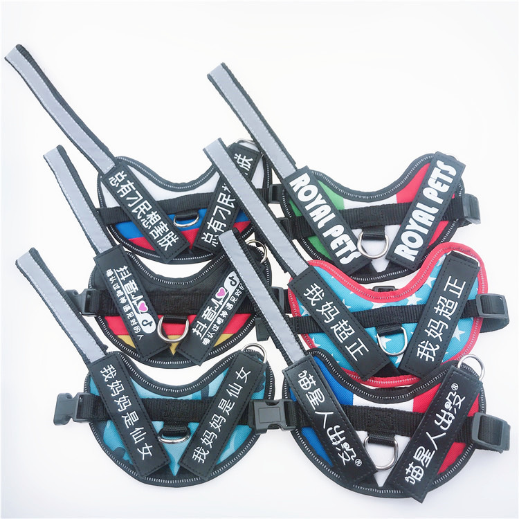 溜猫绳遛猫绳胸背带 防挣脱栓猫绳背心式链子猫绳子猫咪牵引