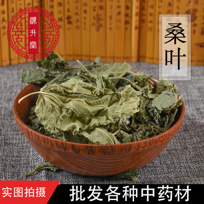 产地直销青桑叶货源优质无硫熏另有霜桑叶可打粉 量大从优中药材