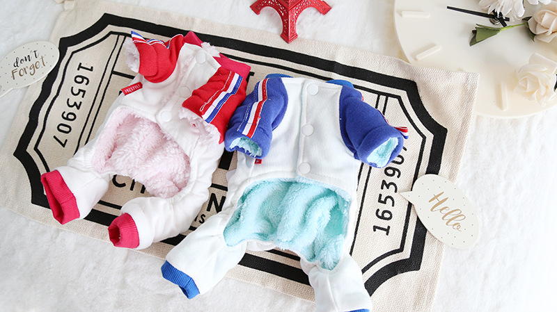 字母三色带四脚衣