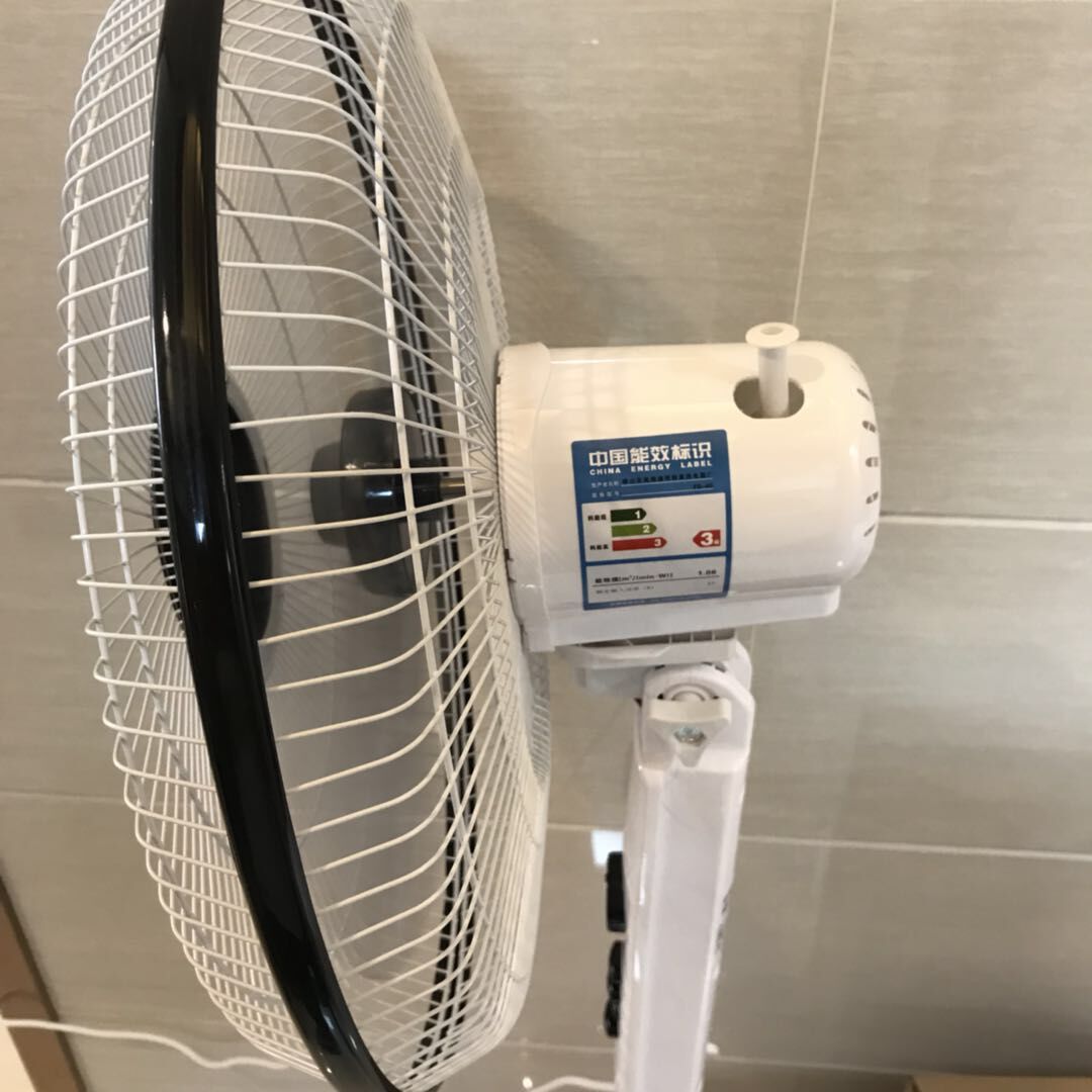 风扇5