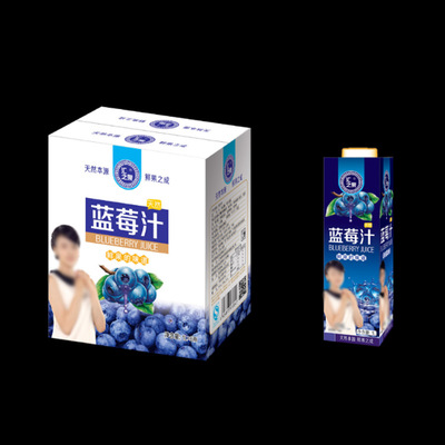 長白山藍莓果汁 野生藍莓果汁 推薦 原漿飲料批發