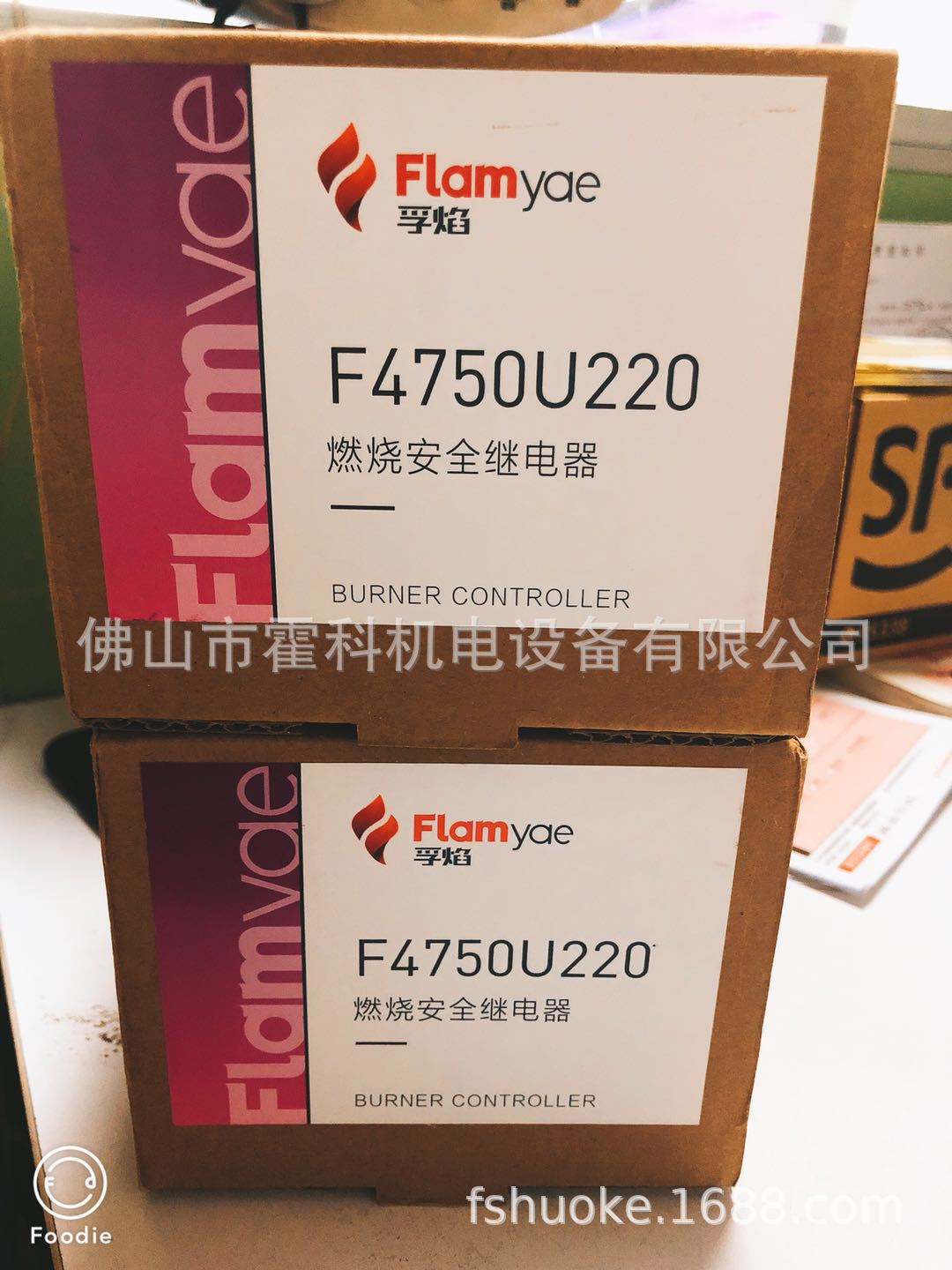 FLAMYAM程序控制器F4750U220