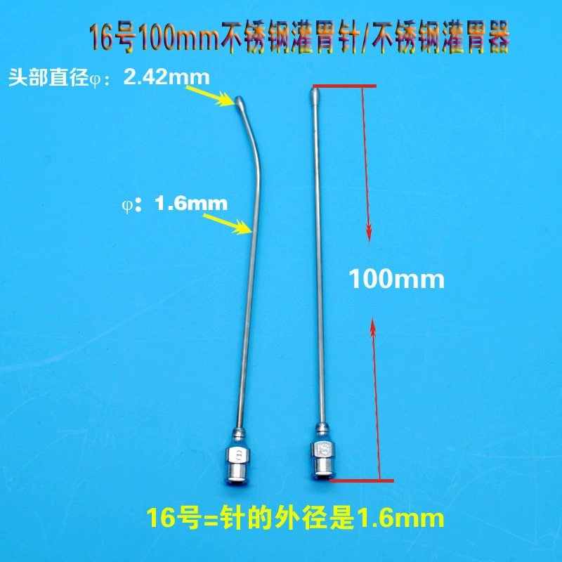 № 16 100 мм заполняя желудок прибора желудка иглы нержавеющей стали 100 мм заполняя прибор желудка прибора заполняя прибор животный питаясь Большая игла мыши