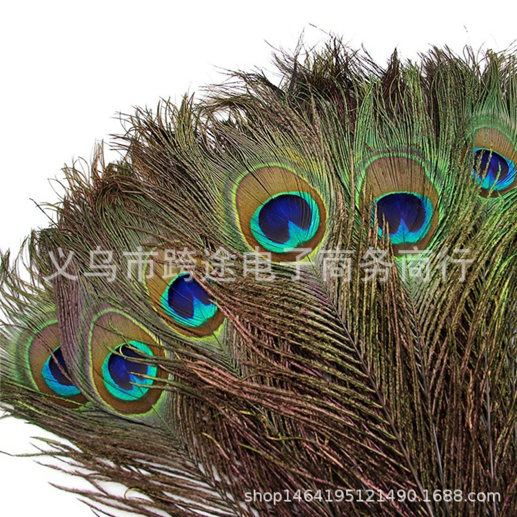 HTB1KpHCtuOSBuNjy0Fdq6zDnVXaf