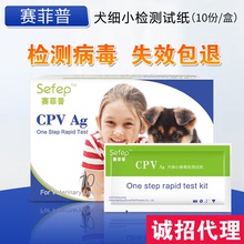 dải Pet Sài Feipu tốt dải giấy chó Đảng toàn bộ hộp 10 phần giấy phạt que thử Sản phẩm chăm sóc sức khỏe cho chó