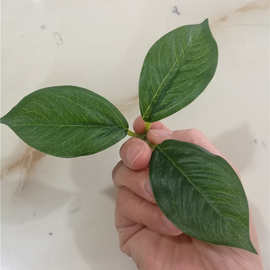 仿真植物仿真花叶配件 三叉过胶布叶片 植物墙装饰布料把束编织袋