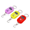 Keychain, handheld small electronic electronic scales