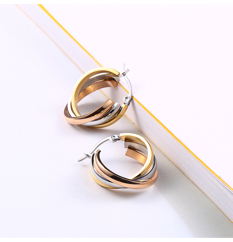 Style Simple Géométrique Acier Au Titane Boucles D'oreilles Placage Boucles D'oreilles En Acier Inoxydable display picture 4