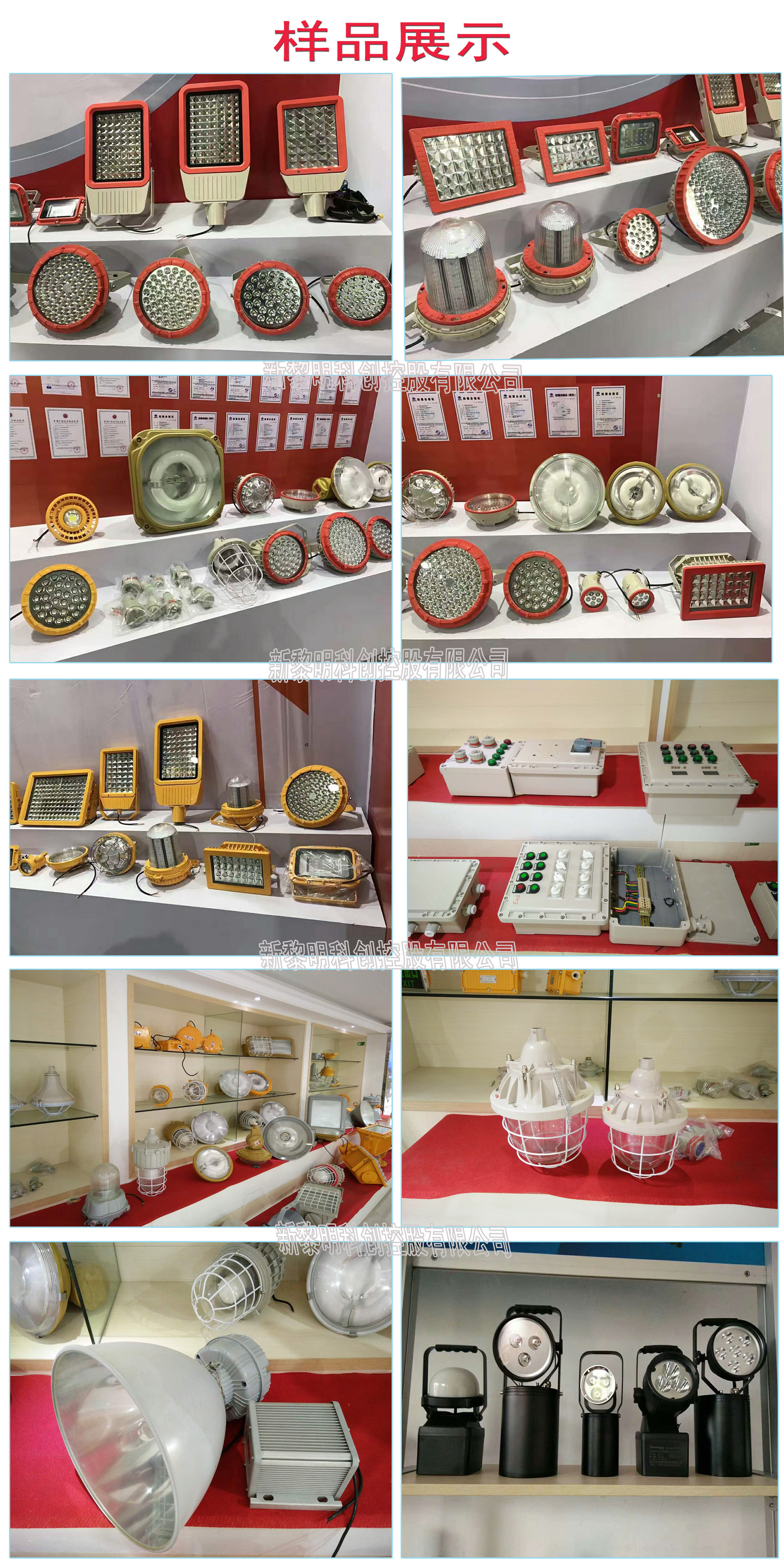 A型集中电源集中控制型防爆应急疏散指示灯 集电集控型消防应急灯