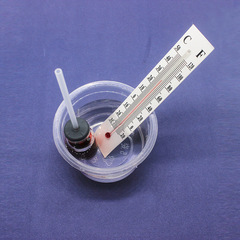 School Science Experiment Self-made Thermometer Simulated Thermometer Experimental Equipment DIY Small Invention Science Popularization Equipment