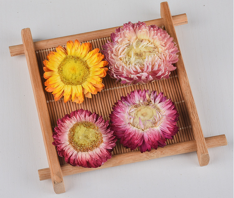 Qi Cai Ju (Rainbow Chrysanthemum) — Dried Food-Herb Flower Tea, 500g Bulk quality and texture