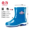 Blue single shoes