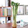 Plant lamp indoor, one bead bracelet for office, wholesale