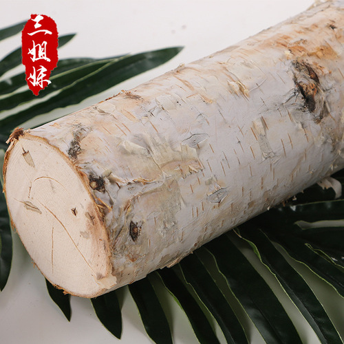 Birch Tree Wall Rural Decor Tree Trunk Landscape Real Wood Stake Photography Display Prop Raw Wood Stick Manufacturer Wholesale