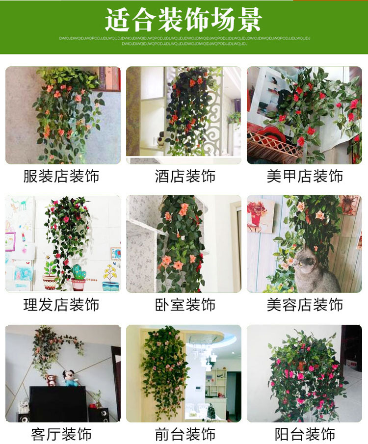 QQ图片20180221234213 副本 拷贝 副本