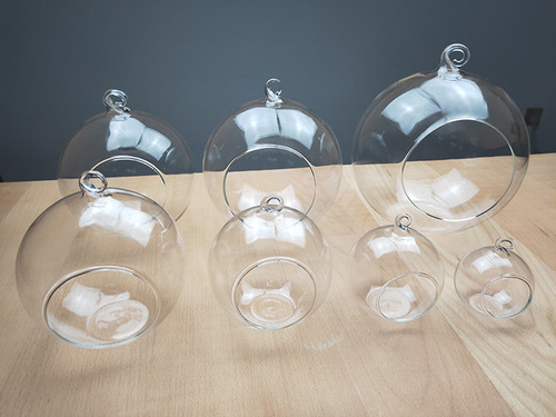 Micro-ecological bottle with glass balls, moss, iron stand, transparent hanging glass ball vase, succulent round balls, dangling balls