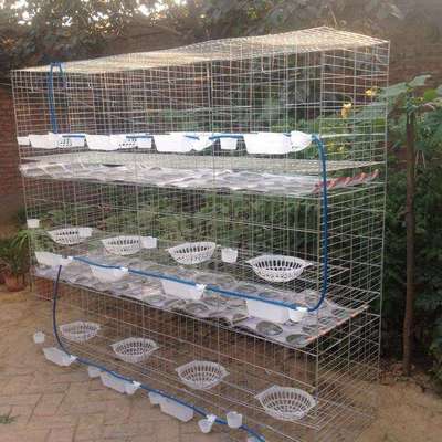 12位/16位铁丝网养殖场白鸽笼 鸽子配对笼 加粗加密镀锌厂家直销|ms