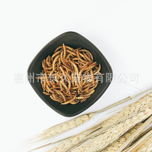 20 pounds of bulk mealworms, mealworms, special snacks for birds, turtles and hamsters, dried worms, bird food and pigeon food