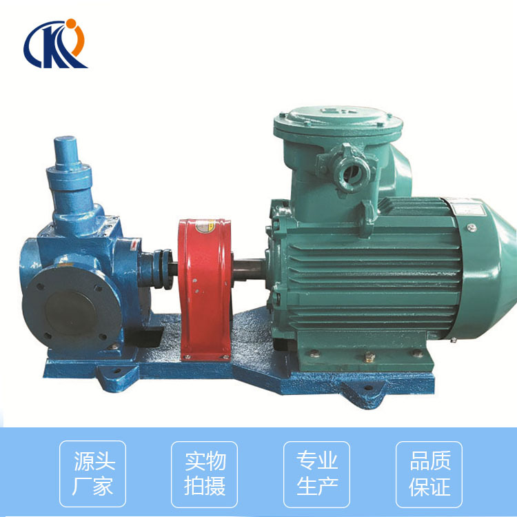 油泵厂家生产 YCB型高效圆弧齿轮泵 磁力驱动小流量圆弧齿轮油泵|ru