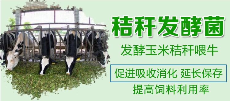 秸稈發(fā)酵菌