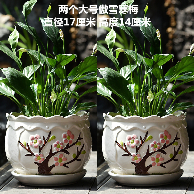 傲雪寒梅_副本.jpg