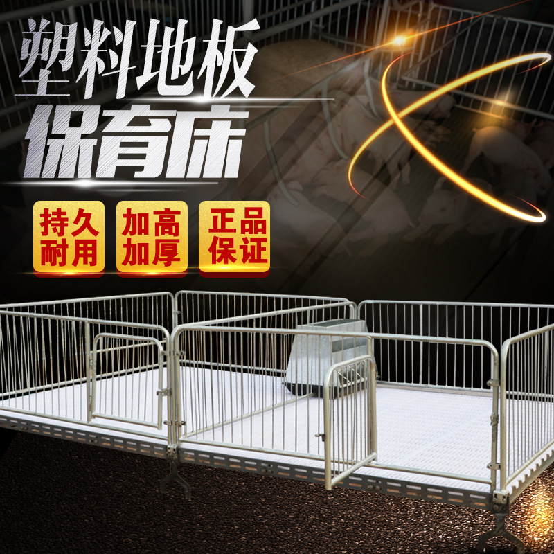养猪的保育床塑料漏粪板小猪保育床猪仔保育床双体保育床厂家直销