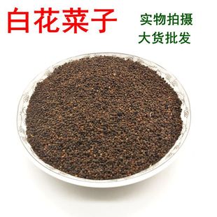 ���l��ș�� �׻����� �׻����� ��������