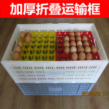 周转箱 塑料欧式折叠箱 30枚鸡蛋托 蛋盘 厂家直供 加厚 出口