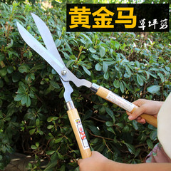 日本の黄金の馬のフェンスは緑のフェンスを切って芝生を切って枝を切ってお茶を切って園芸のはさみの園林の道具を切ります。