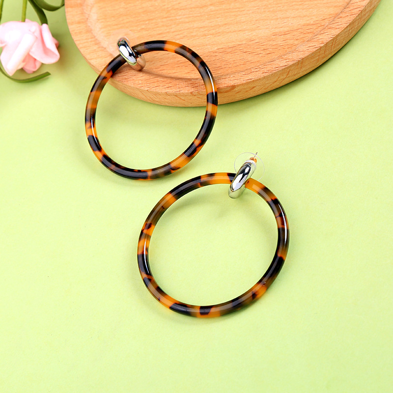 Creative Minimalist Geometric Exaggerated Circle Earrings Female Earrings display picture 5