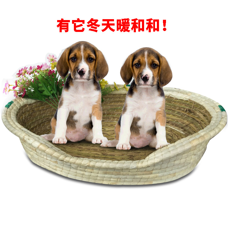 草編寵物窩 狗窩貓窩泰迪窩透氣保暖狗床狗沙發寵物用品壹件代發