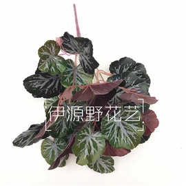 厂家直销 仿真植物过胶手感海棠叶 植物墙配材特色装饰铜钱叶