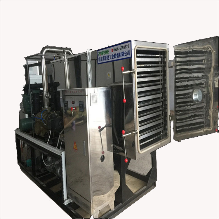 灵芝真空冷冻干燥机 菠萝蜜真空冻干机的参数 全自动真空冷冻设备