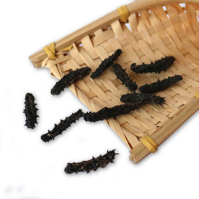 Quick boiled sea cucumber Japonicus Non sea cucumber Ready to eat sea cucumber 1.5-3.5cm Specifications Fujian Supplying