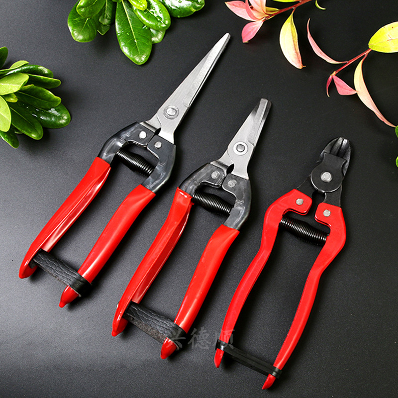 grape Pruner Stainless steel Picking scissors Orange Fruits and vegetables gardening Cut flowers Alice head