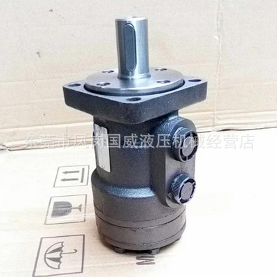 BM1-125 Hydraulic motor Hydraulic motor low speed torque height rotate mould motor