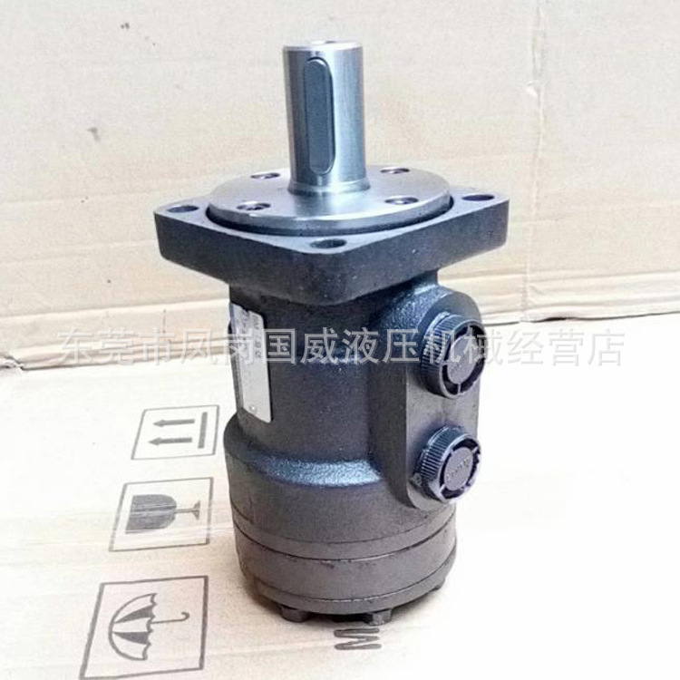 BM1-125 Hydraulic motor Hydraulic motor low speed torque height rotate mould motor