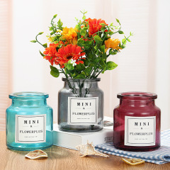 Nordic ins vase mini hydroponic flowers pothos vase transparent glass dry vase transparent vase