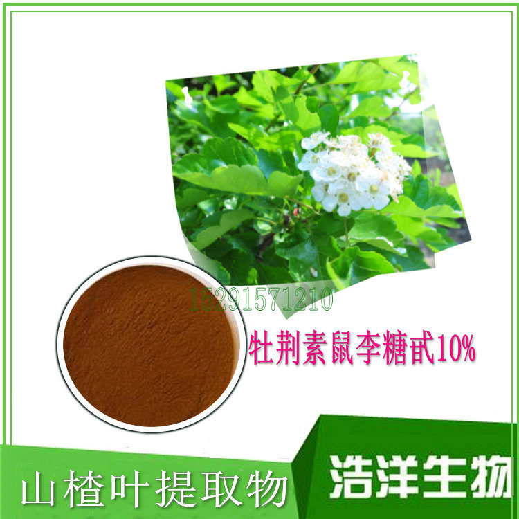 山楂叶提取物鼠李糖甙10%