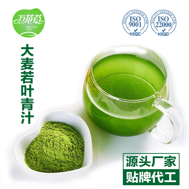 大麦若叶青汁的功效和作用